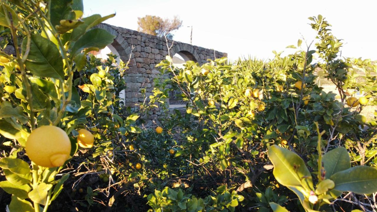 Pantelleria Dammusi Belvedere Scauri  Exterior foto